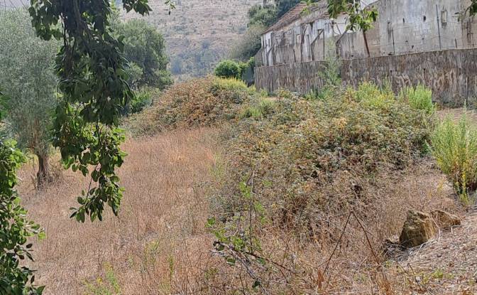 Land Lot for Sale Lg das Lapas 2, 2670-749 Lousa. Photo#10 Land Lot for Sale Lg das Lapas 2, 2670-749 Lousa. Photo#10