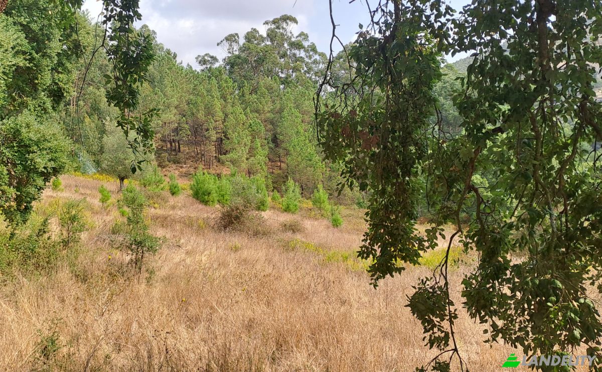 Land Lot for Sale Lg das Lapas 2, 2670-749 Lousa, Lousa, Loures, Lisbon, Portugal. Photo 11