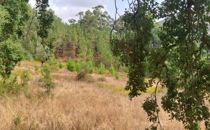 Land Lot for Sale Lg das Lapas 2, 2670-749 Lousa. Photo#11 Land Lot for Sale Lg das Lapas 2, 2670-749 Lousa. Photo#11