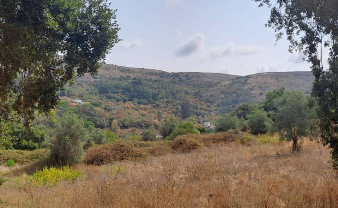 Land Lot for Sale Lg das Lapas 2, 2670-749 Lousa. Photo#16 Land Lot for Sale Lg das Lapas 2, 2670-749 Lousa. Photo#16