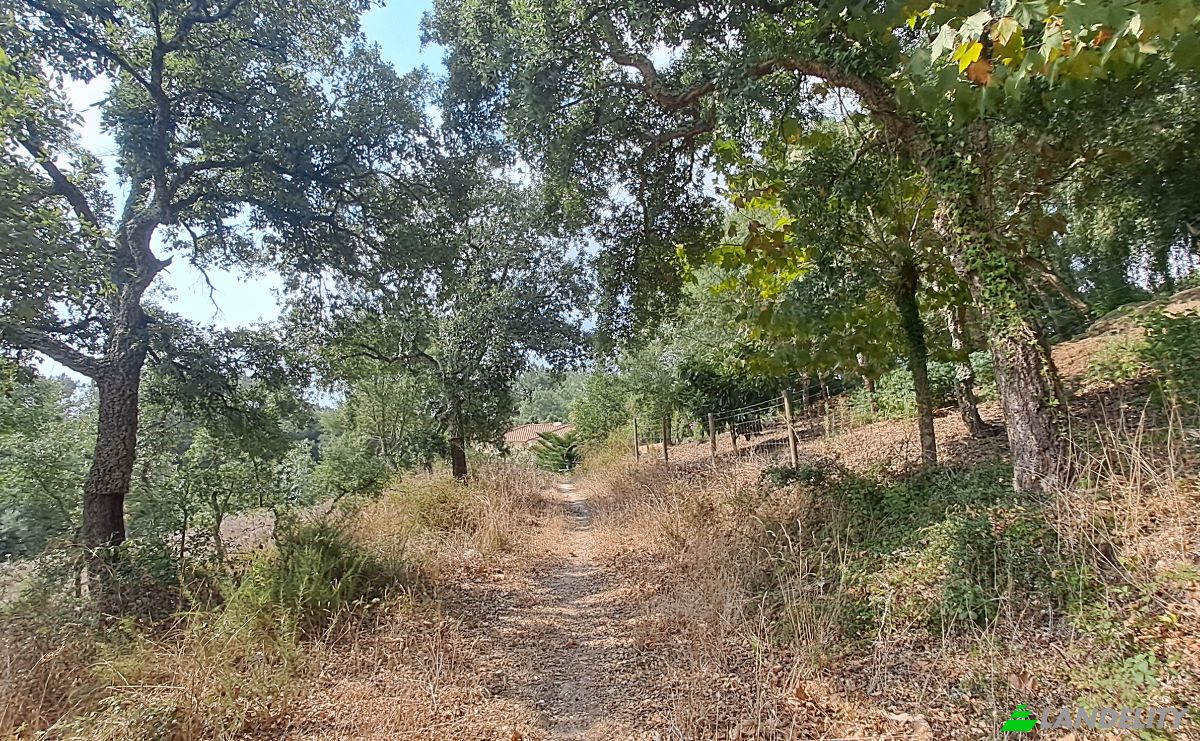 Land Lot for Sale Lg das Lapas 2, 2670-749 Lousa, Lousa, Loures, Lisbon, Portugal. Photo 17