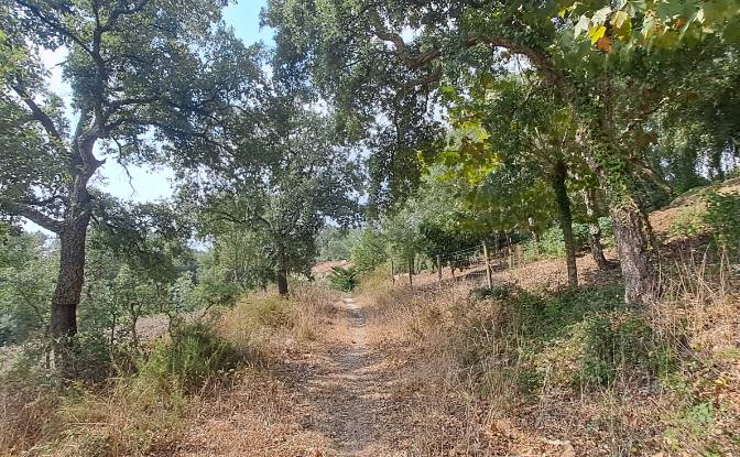 Land Lot for Sale Lg das Lapas 2, 2670-749 Lousa. Photo#17 Land Lot for Sale Lg das Lapas 2, 2670-749 Lousa. Photo#17