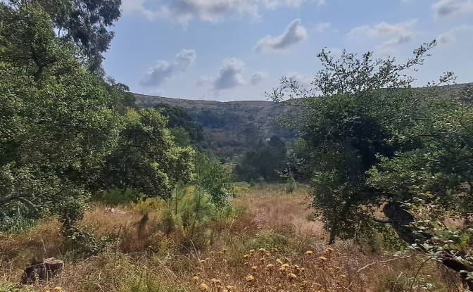 Land Lot for Sale Lg das Lapas 2, 2670-749 Lousa. Photo#18 Land Lot for Sale Lg das Lapas 2, 2670-749 Lousa. Photo#18