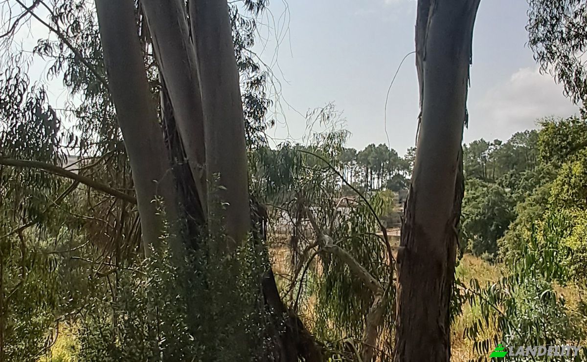 Land Lot for Sale Lg das Lapas 2, 2670-749 Lousa, Lousa, Loures, Lisbon, Portugal. Photo 20