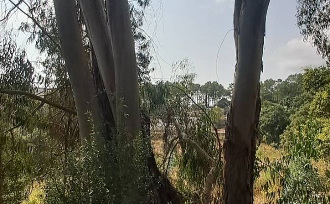 Land Lot for Sale Lg das Lapas 2, 2670-749 Lousa. Photo#20 Land Lot for Sale Lg das Lapas 2, 2670-749 Lousa. Photo#20