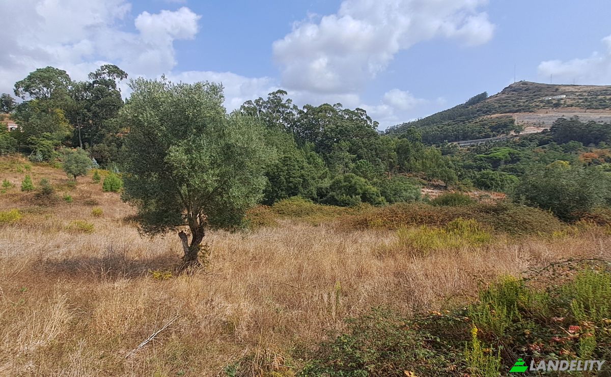 Land Lot for Sale Lg das Lapas 2, 2670-749 Lousa, Lousa, Loures, Lisbon, Portugal. Photo 3
