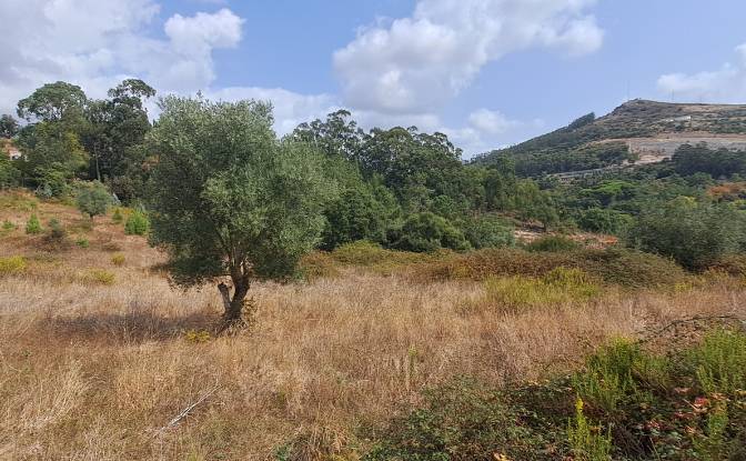 Land Lot for Sale Lg das Lapas 2, 2670-749 Lousa. Photo#3 Land Lot for Sale Lg das Lapas 2, 2670-749 Lousa. Photo#3