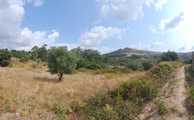 Land Lot for Sale Lg das Lapas 2, 2670-749 Lousa. Photo#5 Land Lot for Sale Lg das Lapas 2, 2670-749 Lousa. Photo#5