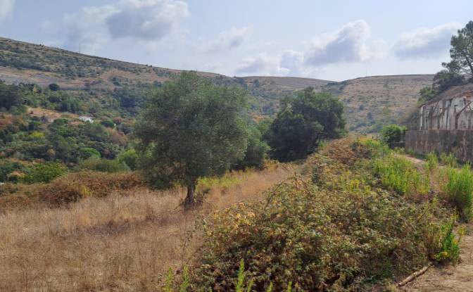 Land Lot for Sale Lg das Lapas 2, 2670-749 Lousa. Photo#8 Land Lot for Sale Lg das Lapas 2, 2670-749 Lousa. Photo#8