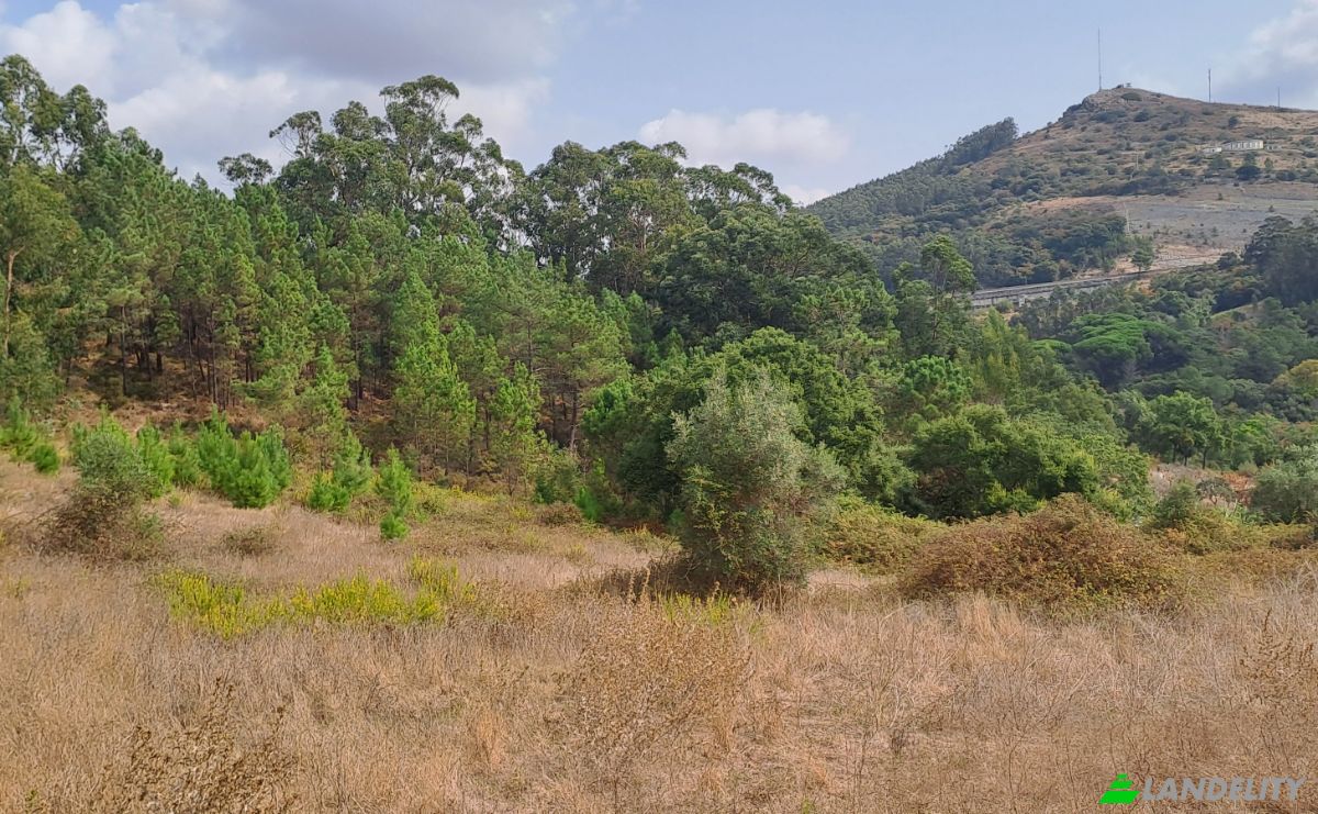 Land Lot for Sale Lg das Lapas 2, 2670-749 Lousa, Lousa, Loures, Lisbon, Portugal. Photo 9
