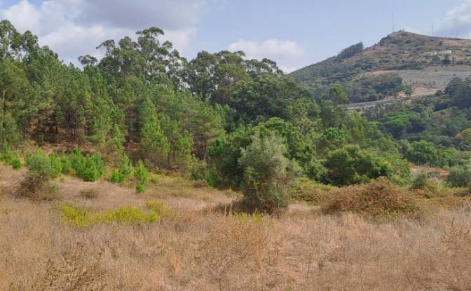 Land Lot for Sale Lg das Lapas 2, 2670-749 Lousa. Photo#9 Land Lot for Sale Lg das Lapas 2, 2670-749 Lousa. Photo#9