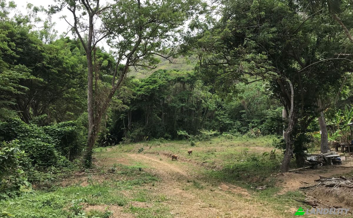 Investing/Development for Sale Windward Rd, Belmont, Tobago, Trinidad and Tobago. Photo 10