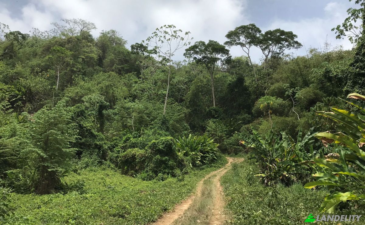 Investing/Development for Sale Windward Rd, Belmont, Tobago, Trinidad and Tobago. Photo 11