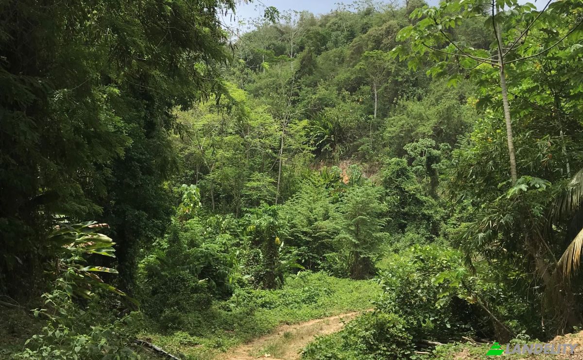 Investing/Development for Sale Windward Rd, Belmont, Tobago, Trinidad and Tobago. Photo 12