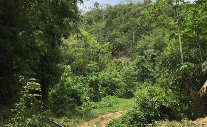 Investing/Development for Sale Windward Rd. Photo#12 Investing/Development for Sale Windward Rd. Photo#12