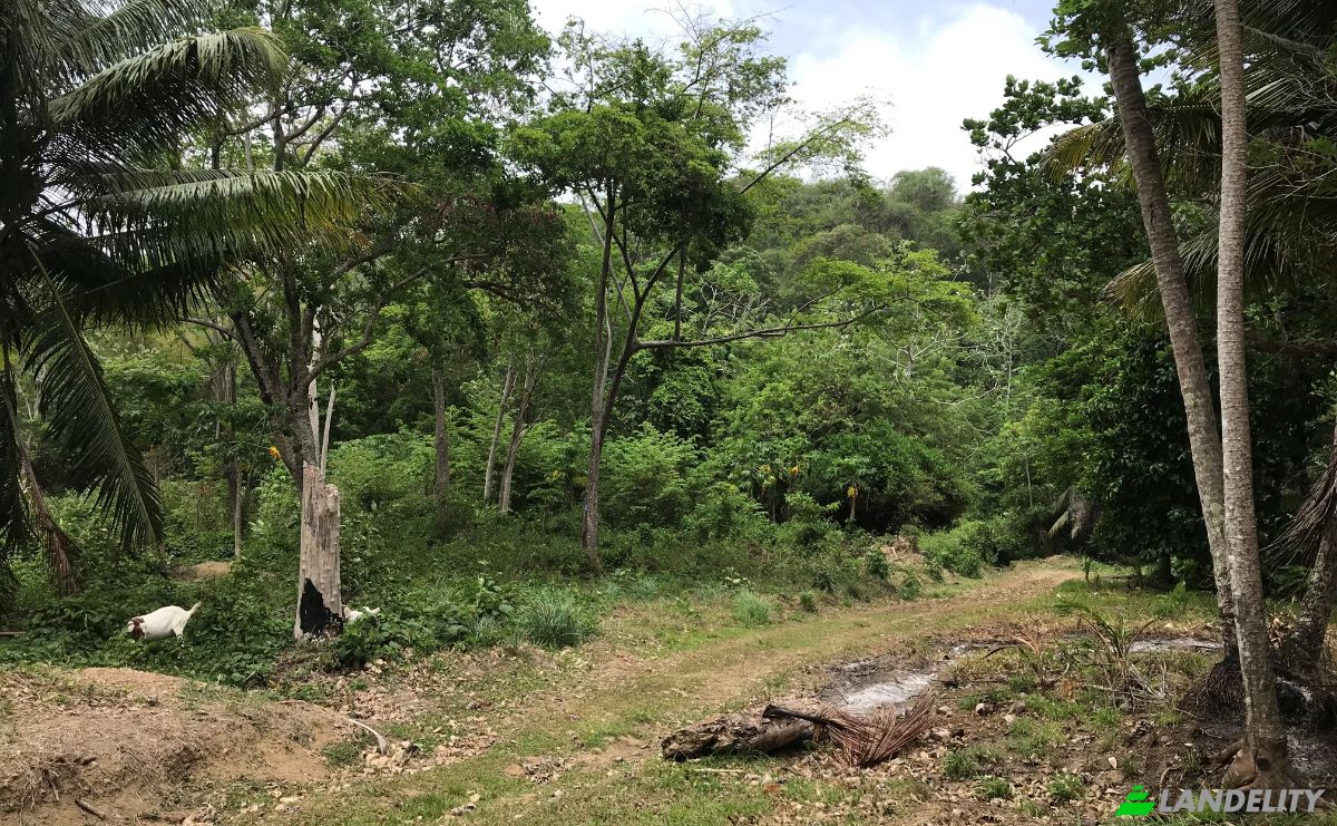 Investing/Development for Sale Windward Rd, Belmont, Tobago, Trinidad and Tobago. Photo 13