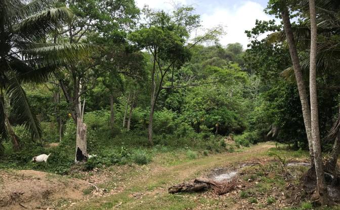 Investing/Development for Sale Windward Rd. Photo#13 Investing/Development for Sale Windward Rd. Photo#13