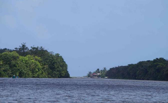 Land Lot for Sale via de Acceso. Photo#10