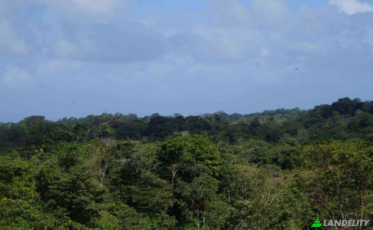 Land Lot for Sale via de Acceso, Provincia de Colon, La Vigia, Donoso District, Colon Province, Panama. Photo 11