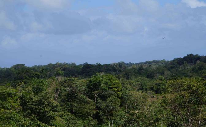 Land Lot for Sale via de Acceso. Photo#11