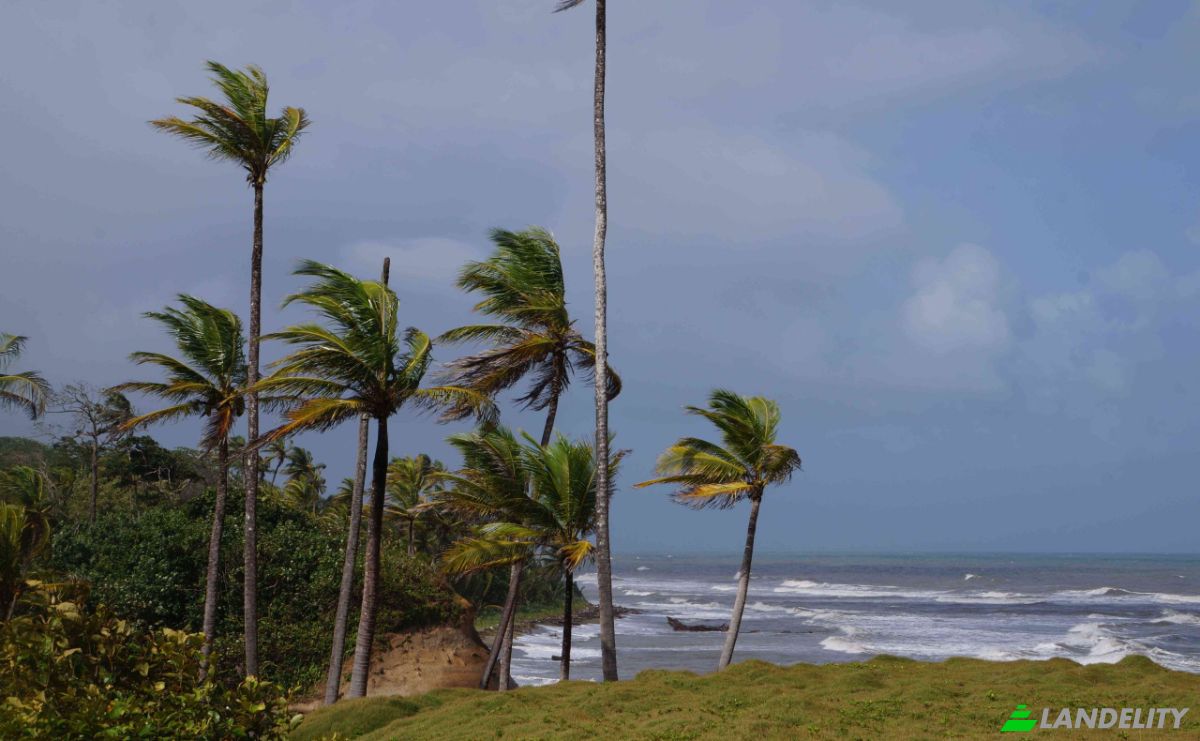 Land Lot for Sale via de Acceso, Provincia de Colon, La Vigia, Donoso District, Colon Province, Panama. Photo 12