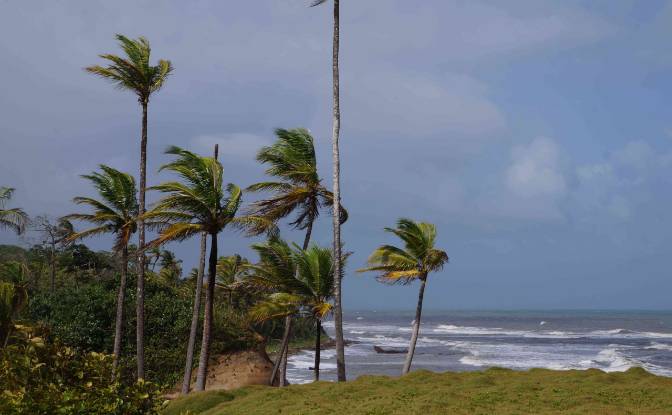 Land Lot for Sale via de Acceso. Photo#12