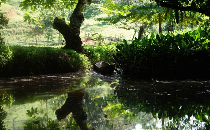 Land Lot for Sale via de Acceso. Photo#14