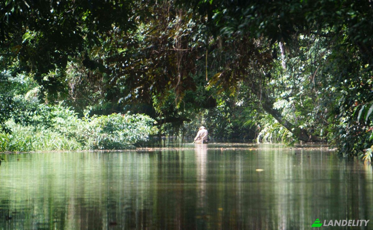 Land Lot for Sale via de Acceso, Provincia de Colon, La Vigia, Donoso District, Colon Province, Panama. Photo 15