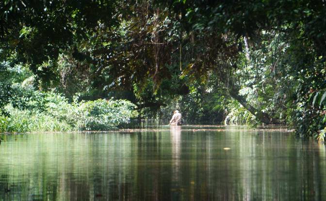Land Lot for Sale via de Acceso. Photo#15