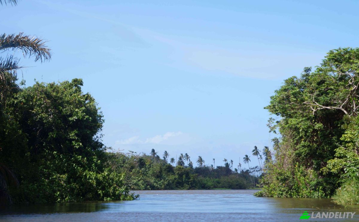 Land Lot for Sale via de Acceso, Provincia de Colon, La Vigia, Donoso District, Colon Province, Panama. Photo 16