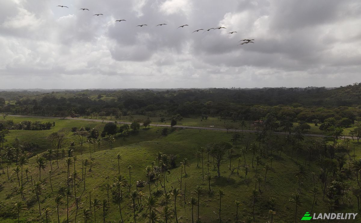 Land Lot for Sale via de Acceso, Provincia de Colon, La Vigia, Donoso District, Colon Province, Panama. Photo 18