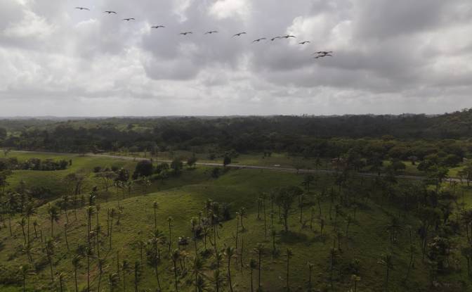 Land Lot for Sale via de Acceso. Photo#18