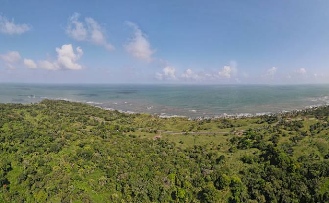 Land Lot for Sale via de Acceso. Photo#19