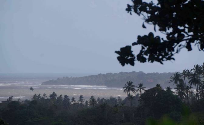 Land Lot for Sale via de Acceso. Photo#3