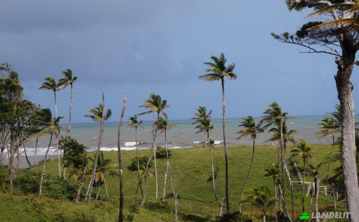 Land Lot for Sale via de Acceso, Provincia de Colon, La Vigia, Donoso District, Colon Province, Panama. Photo 5