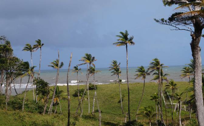 Land Lot for Sale via de Acceso. Photo#5