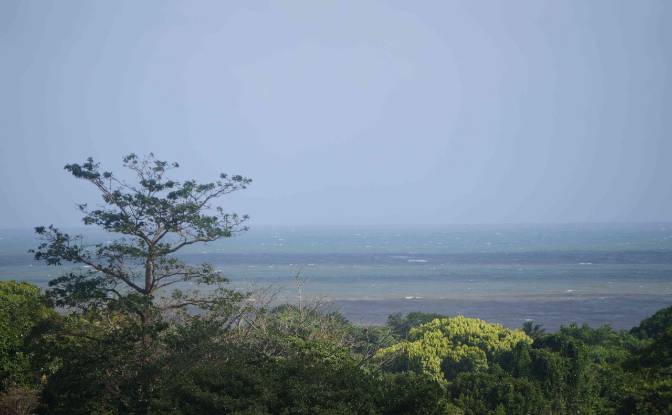 Land Lot for Sale via de Acceso. Photo#7