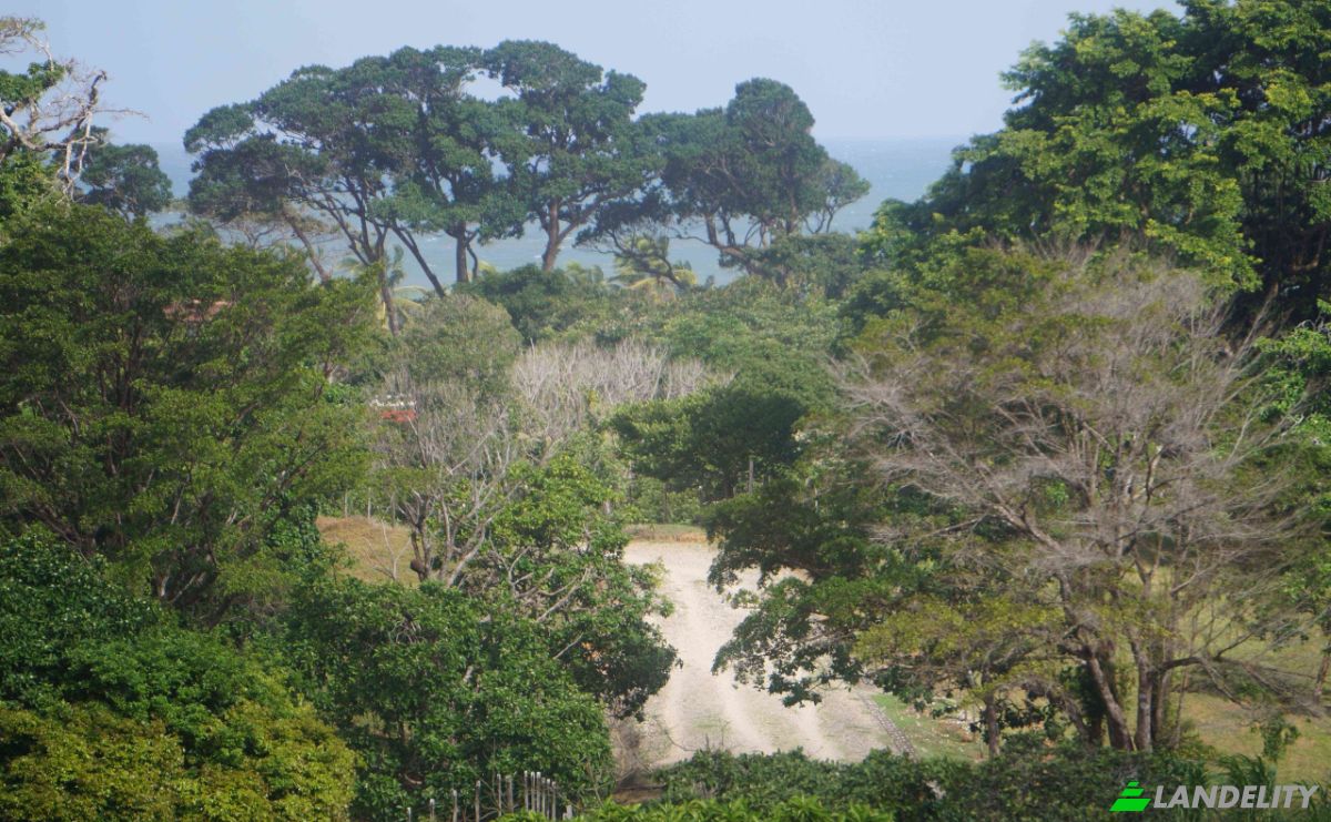 Land Lot for Sale via de Acceso, Provincia de Colon, La Vigia, Donoso District, Colon Province, Panama. Photo 8