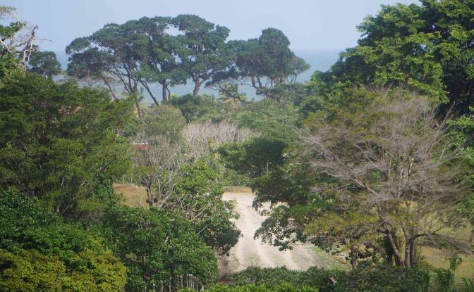 Land Lot for Sale via de Acceso. Photo#8
