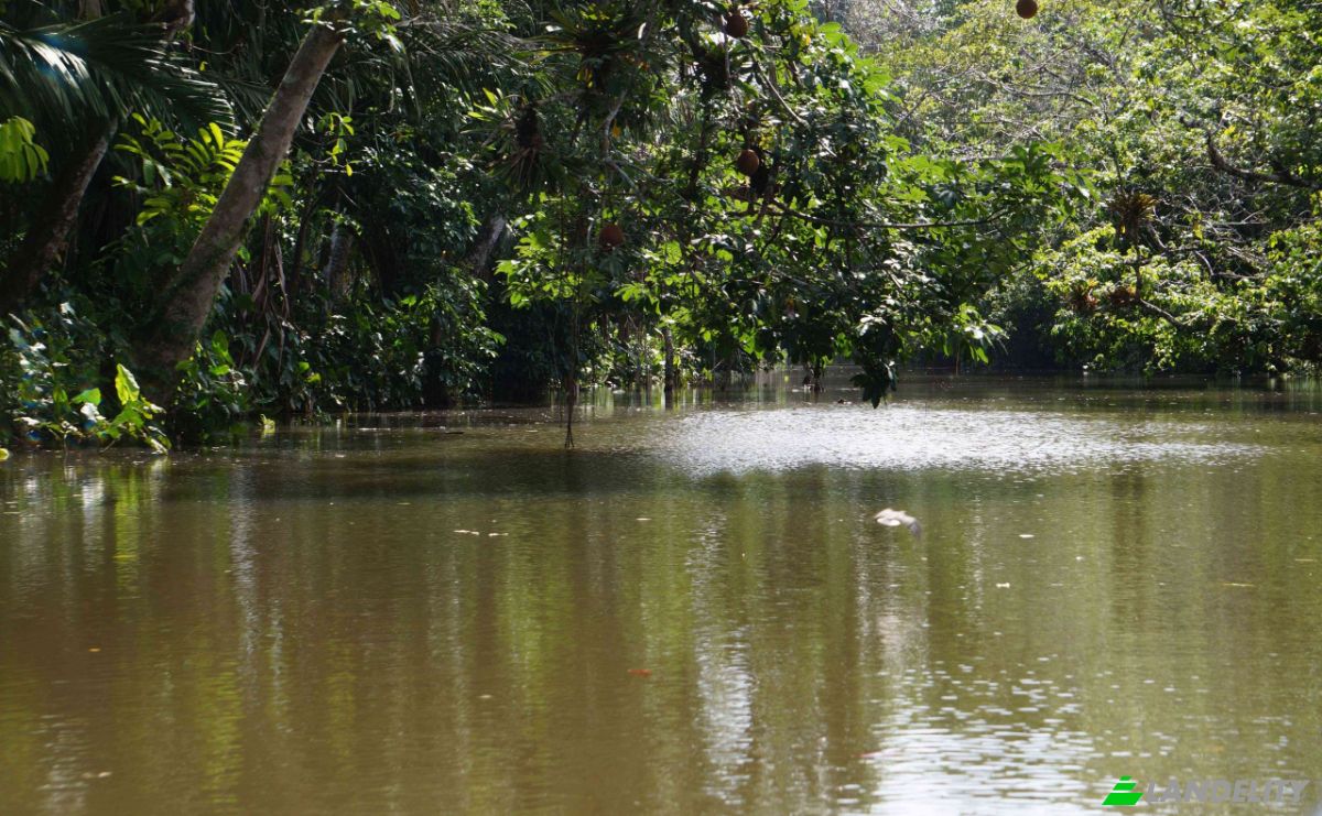 Land Lot for Sale via de Acceso, Provincia de Colon, La Vigia, Donoso District, Colon Province, Panama. Photo 9