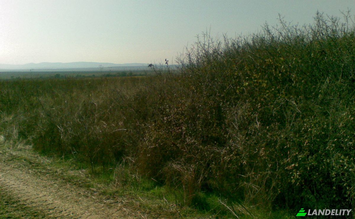 Land Lot for Sale at bez ime, Cholakova cheshma, Nesebar, Burgas, Bulgaria. Photo 5