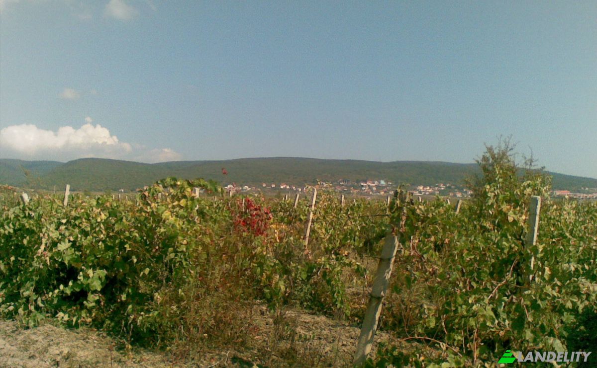 Land Lot for Sale at bez ime, Cholakova cheshma, Nesebar, Burgas, Bulgaria. Photo 7