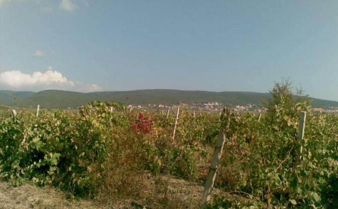 Land Lot for Sale at bez ime, Cholakova cheshma. Photo#7