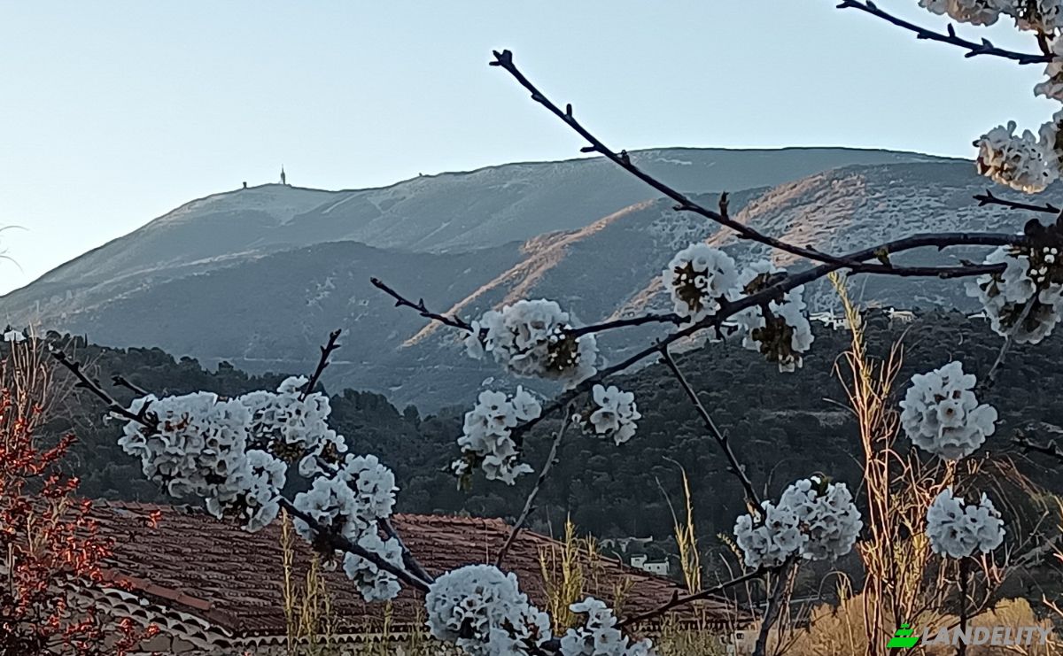 Casa unifamiliar à venda 1090 Rte de Nyons, 26170 Mollans-sur-Ouveze, Mollans-sur-Ouveze, Drome, Auvergne-Rhone-Alpes, France. foto 4