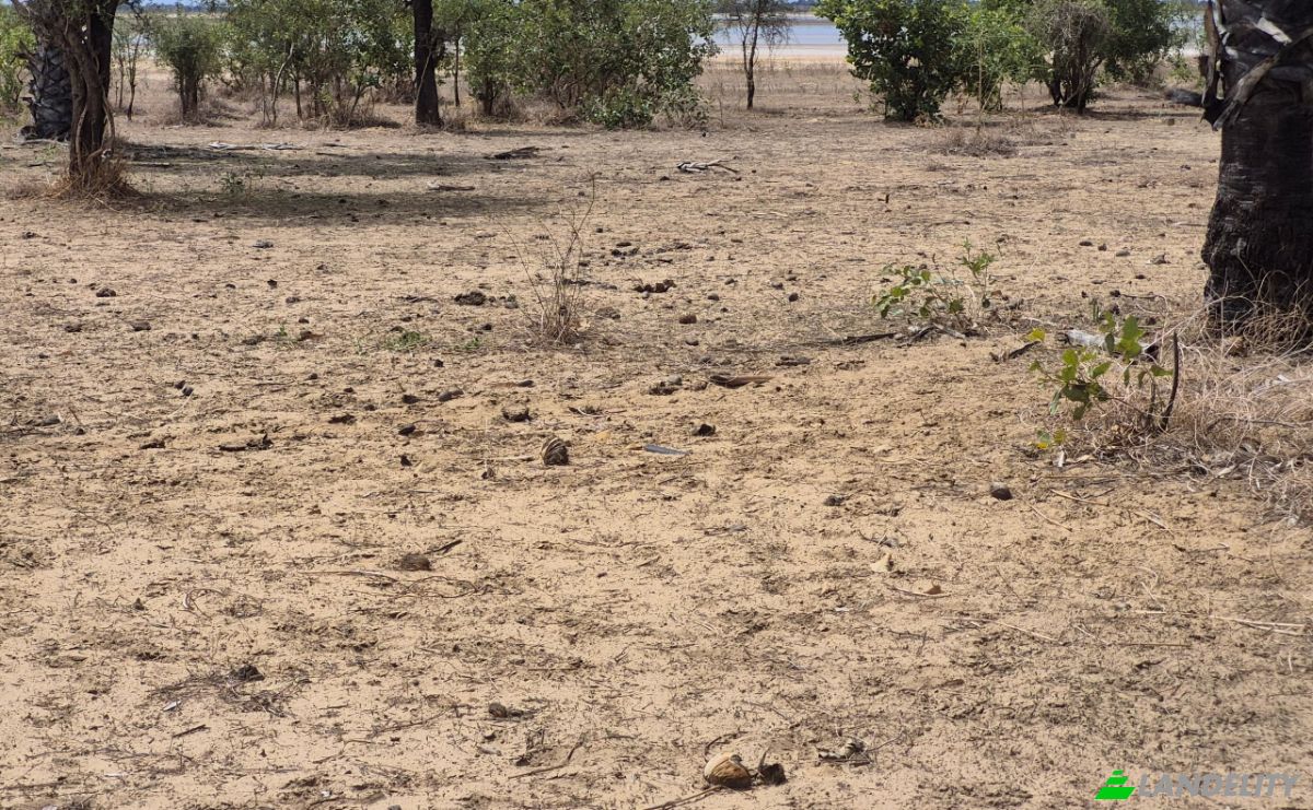Land Lot for Sale Dangane, Fatick, Fatick Region, Senegal. Photo 1
