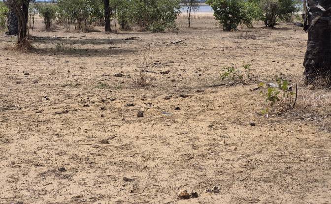 Land Lot for Sale - Dangane, Senegal