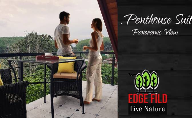 Apartamento para alugar Polgasowita, Colombo. foto#6