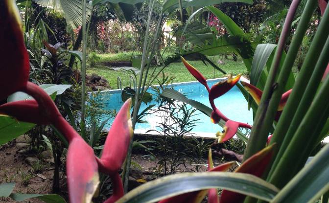Land Lot for Sale - Golfito, Costa Rica