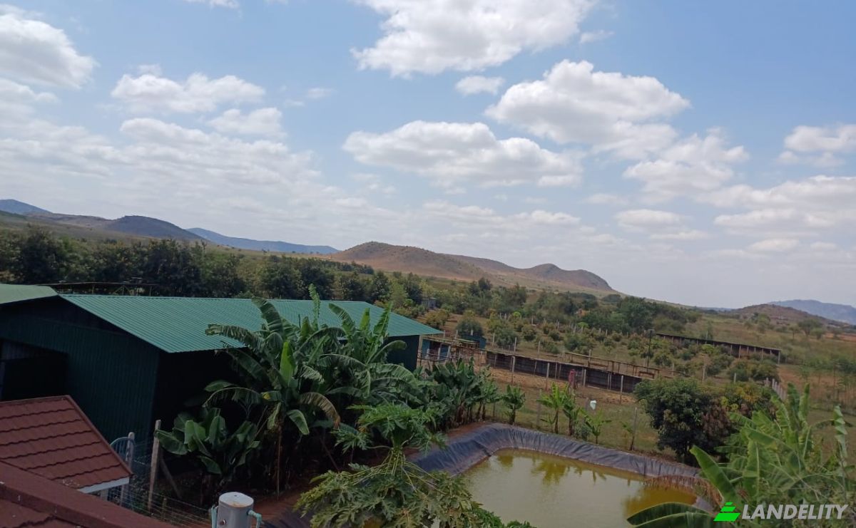 Farm/Ranch for Sale Emali, Nguu, Makueni County, Kenya. Photo 9
