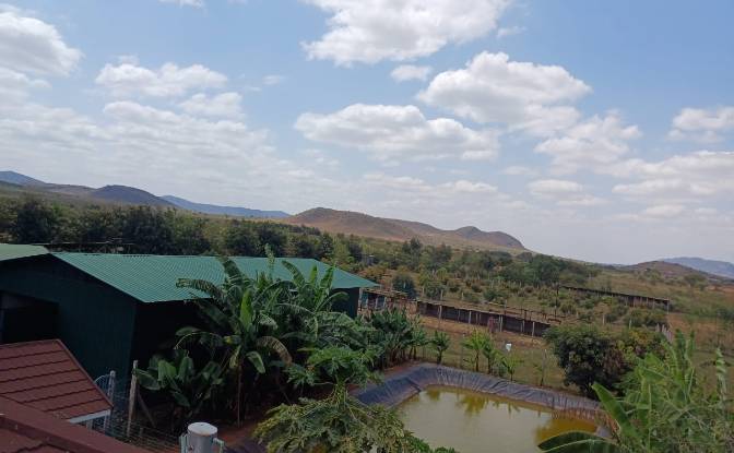 Farm/Ranch for Sale Emali, Nguu, Makueni County. Photo#9 Farm/Ranch for Sale Emali, Nguu, Makueni County. Photo#9